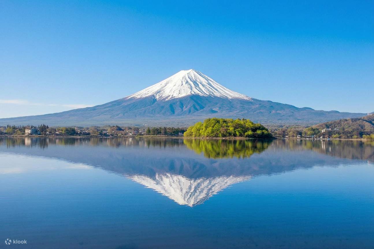 Limited-time Special] Mount Fuji Internet-famous Scenic Spot Day